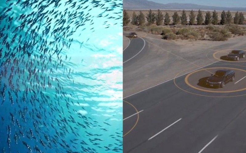 Τα Honda θα επικοινωνούν όπως τα ψάρια (vid)