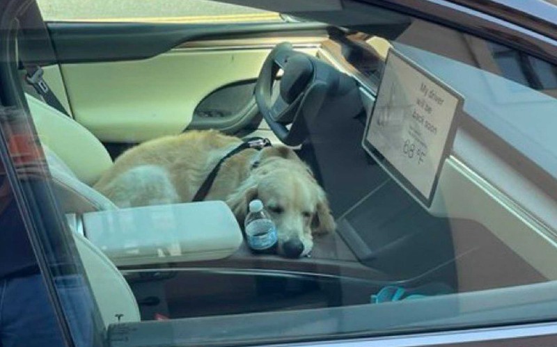 Το Dog Mode της Tesla διευκολύνει τη ζωή των ιδιοκτητών!