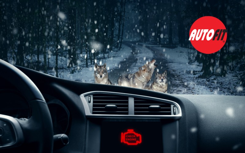 Autofit: Δωρεάν χειμερινός έλεγχος για να μη… μείνεις εκεί που δεν πρέπει!