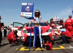 WTCC 2012: Slovakia