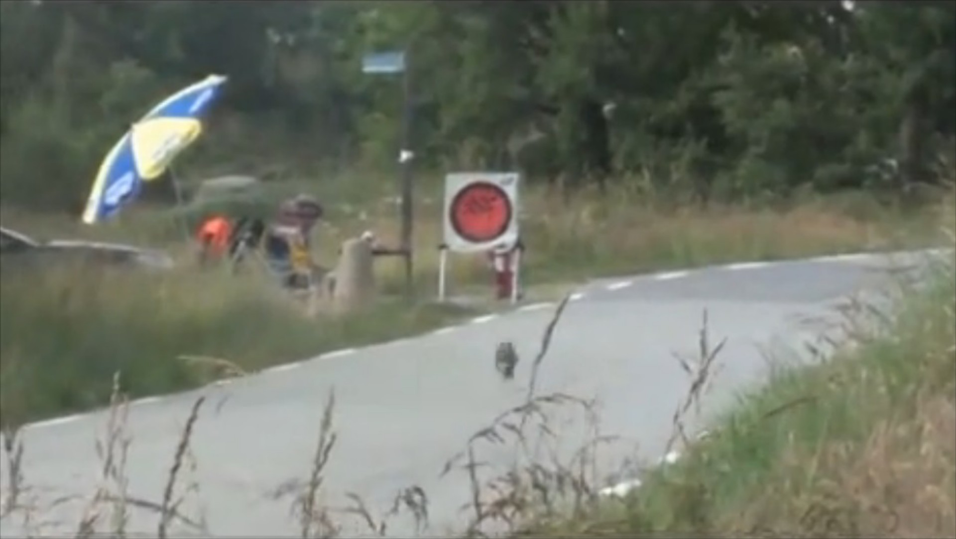 Video: Αγωνιστικό vs Λαγός σε ασφάλτινο ράλι

