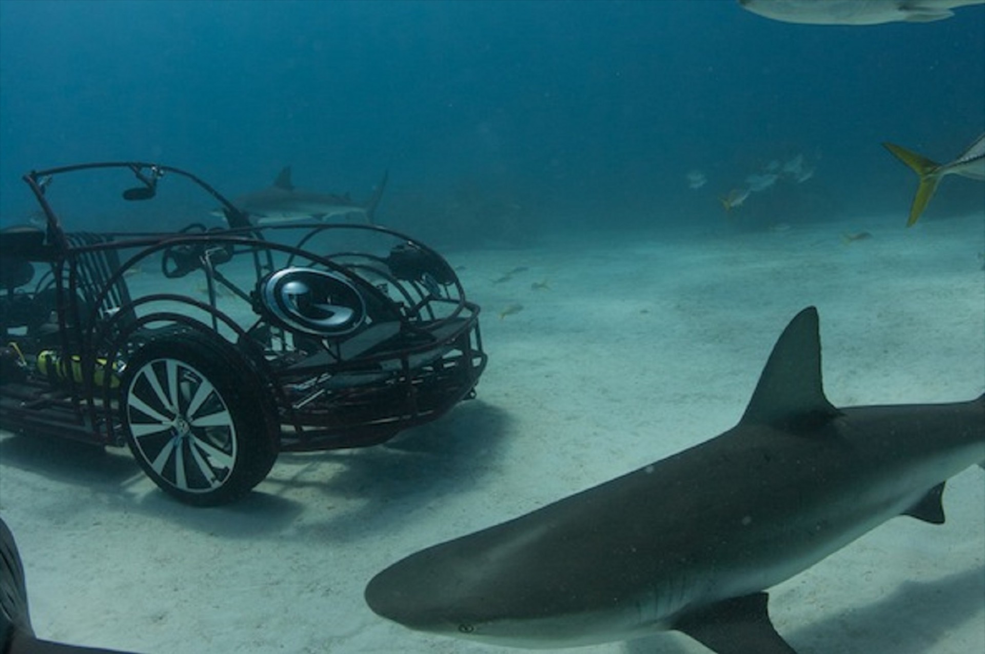 VW Beetle κλουβί για καρχαρίες