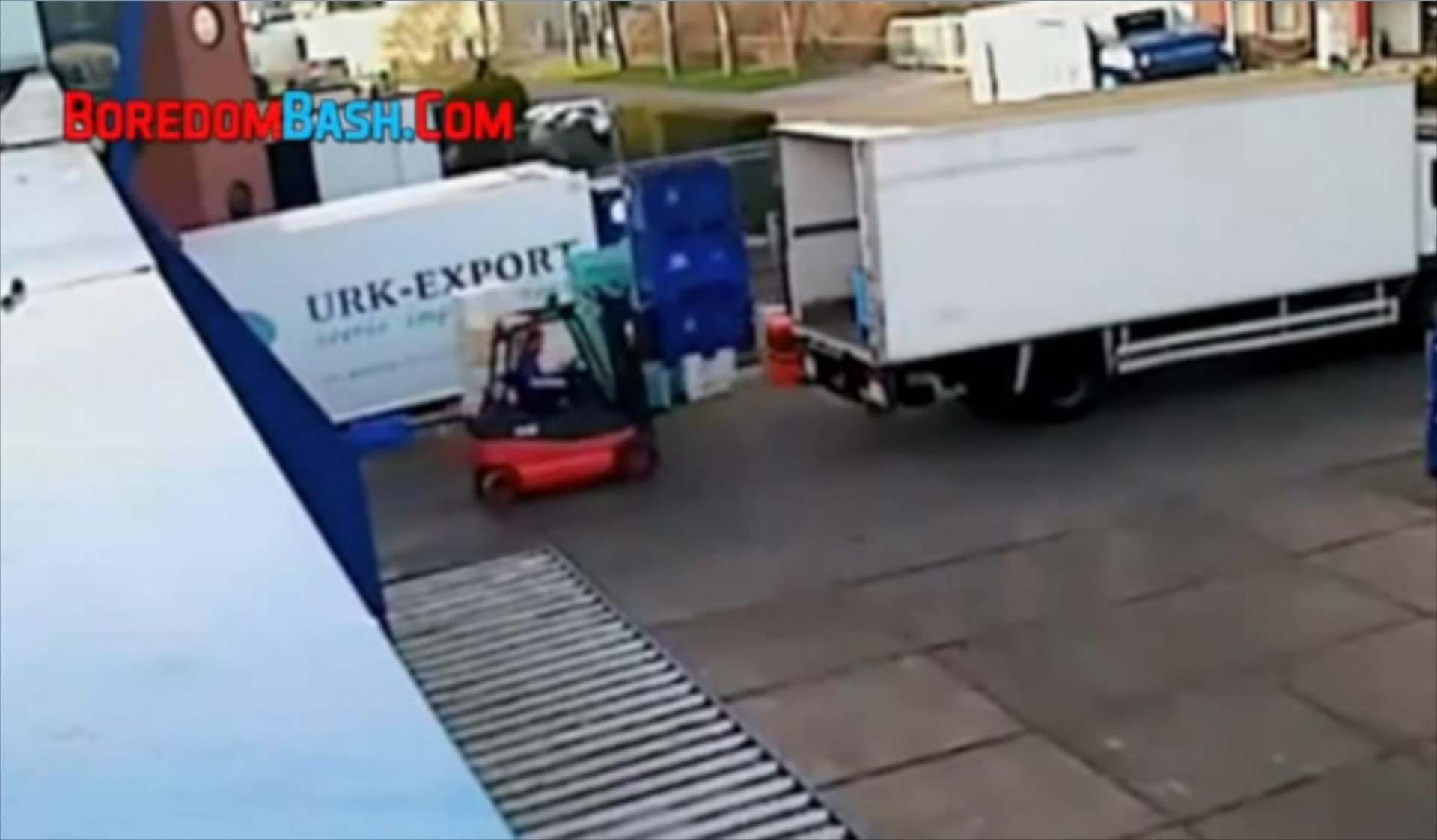 Video: Το απόλυτο φόρτωμα ψαριών με κλαρκ

