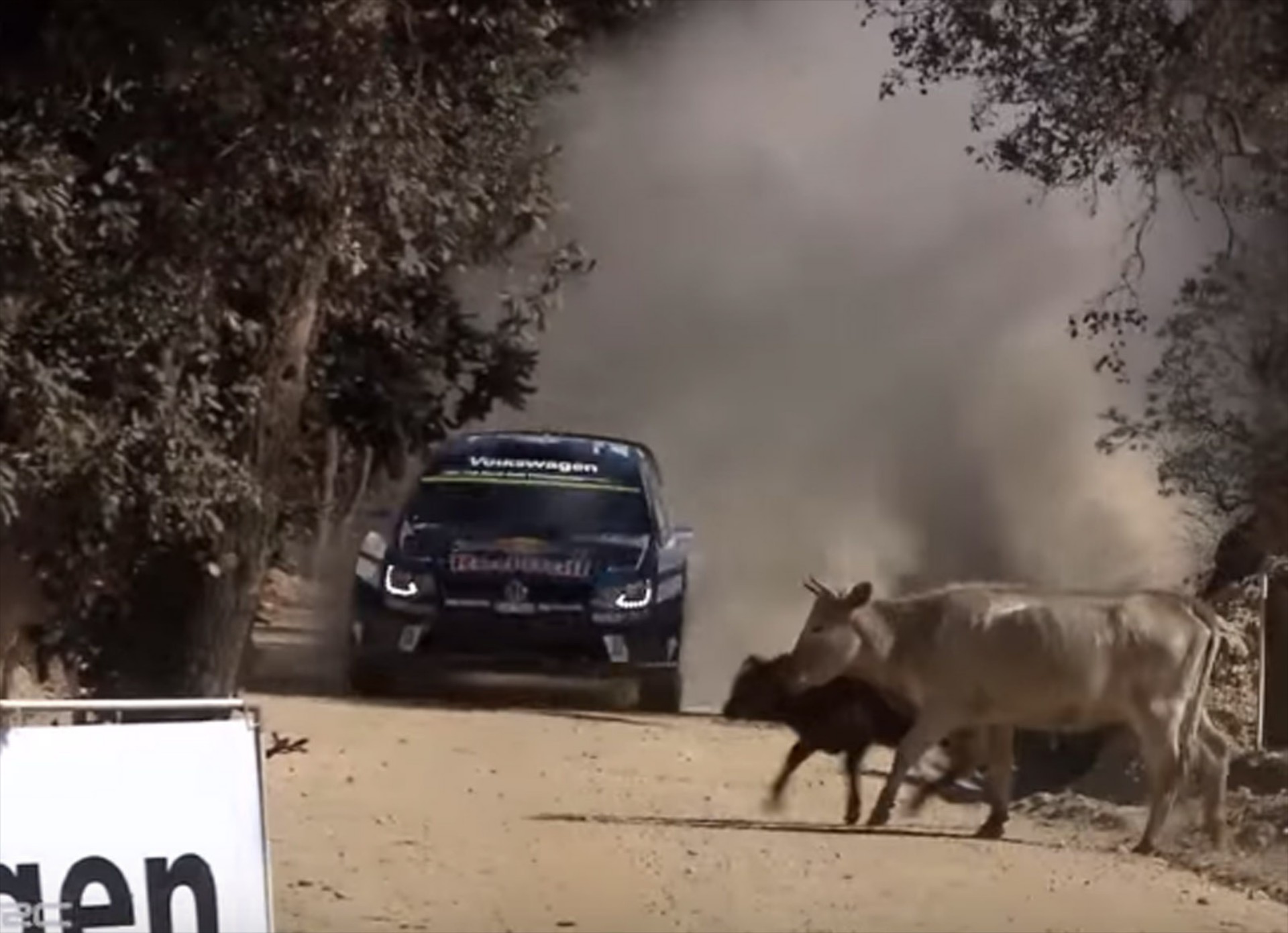 Επικό σώσιμο του S. Ogier (video)