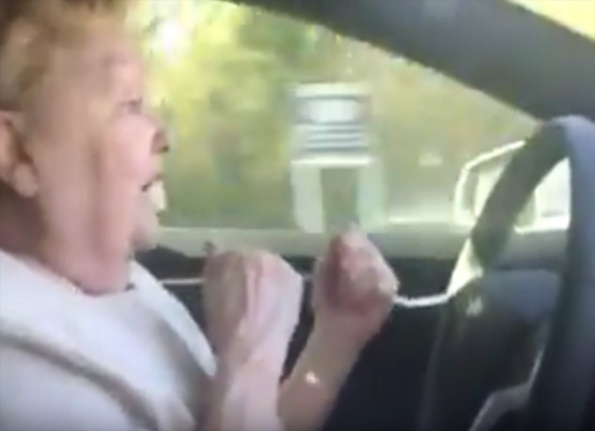 Γιαγιά φρικάρει με το αυτόνομο σύστημα της Tesla (video)