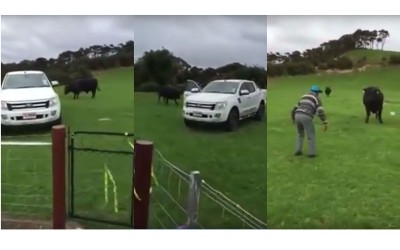 Τι κάνει κάποιος για να σώσει το pickup του (video)