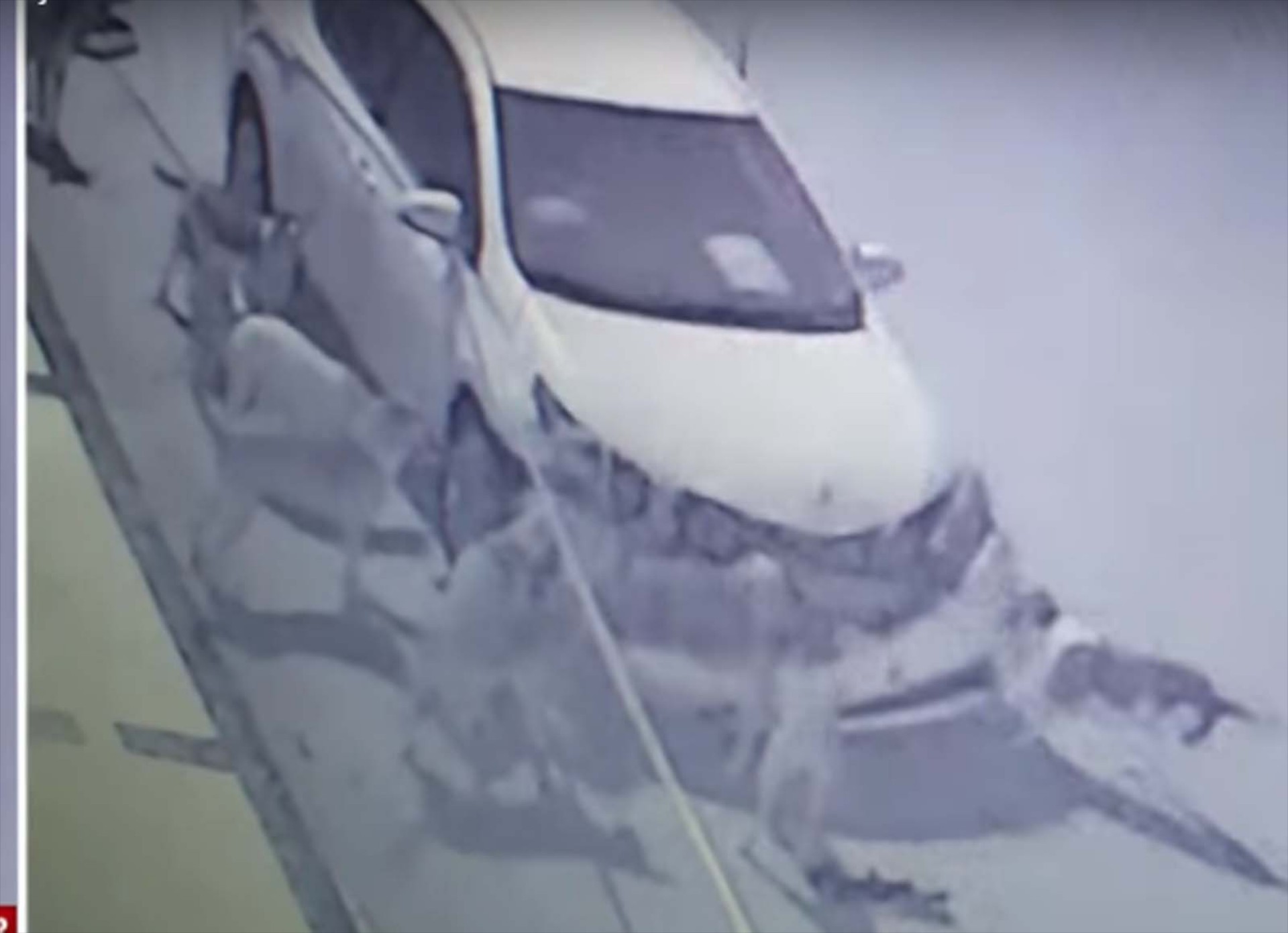 Σκύλοι καταστρέφουν ένα Toyota Corolla (video)