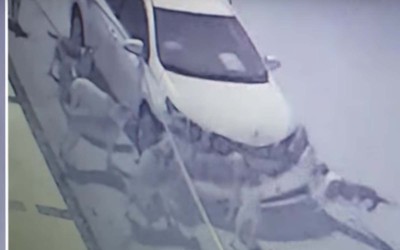 Σκύλοι καταστρέφουν ένα Toyota Corolla (video)
