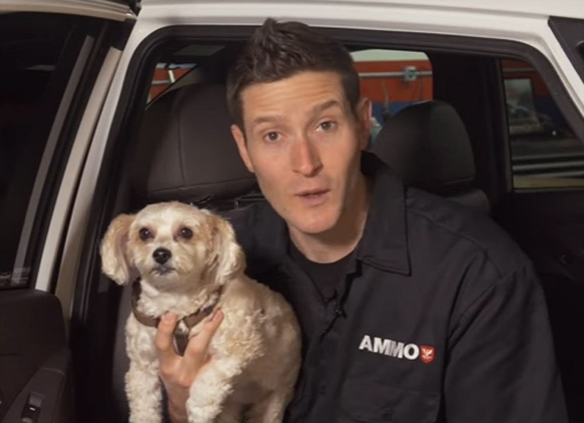 Πώς να καθαρίσετε τις τρίχες του σκύλου σας (vid)