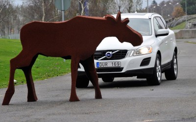 Πραγματική αποφυγή… ταράνδων (video)
