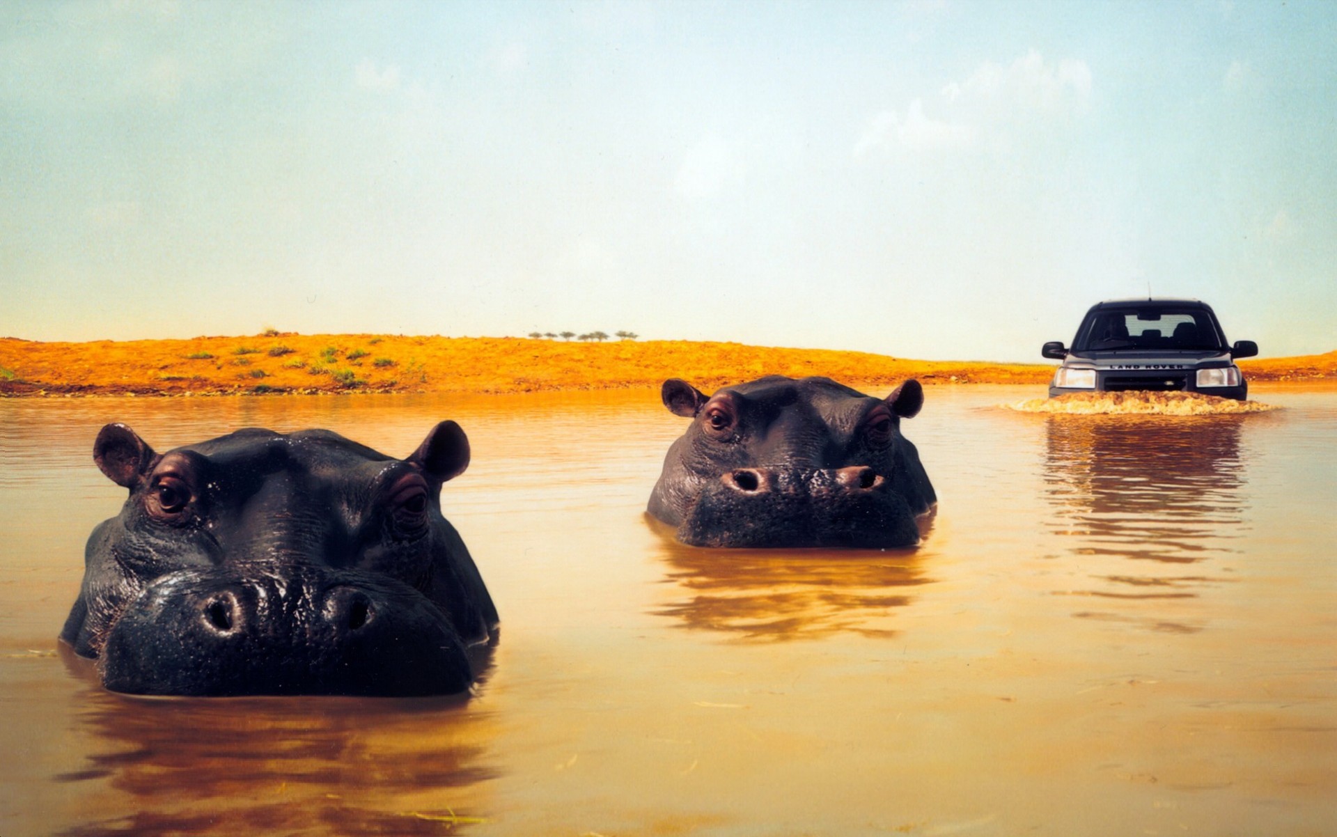 Αγορά αυτοκινήτου: Ανάταση, ευκαιρίες και παγίδες