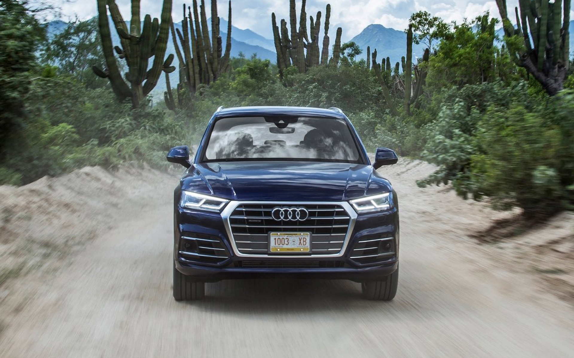 Τι κοινό έχει ένα μέρος της πανίδας με το quattro της Audi; (vid)