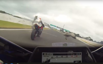 Χήνα – μοτοσικλετιστής… 1-0