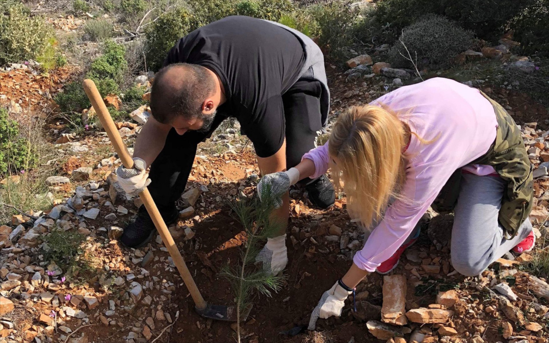 Eθελοντική αναδάσωση του Υμηττού από τους εργαζομένους της LeasePlan Hellas
