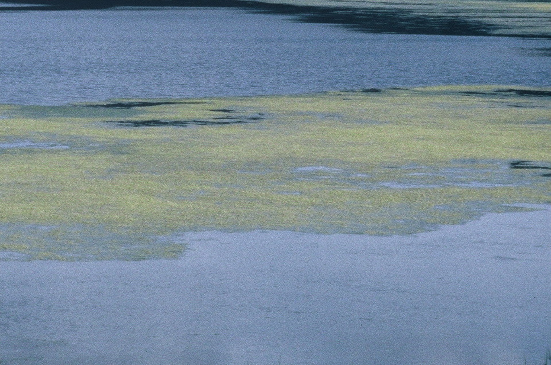 Συνεχίζεται η διαρροή πετρελαίου