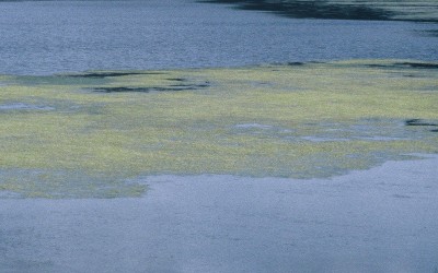 Συνεχίζεται η διαρροή πετρελαίου