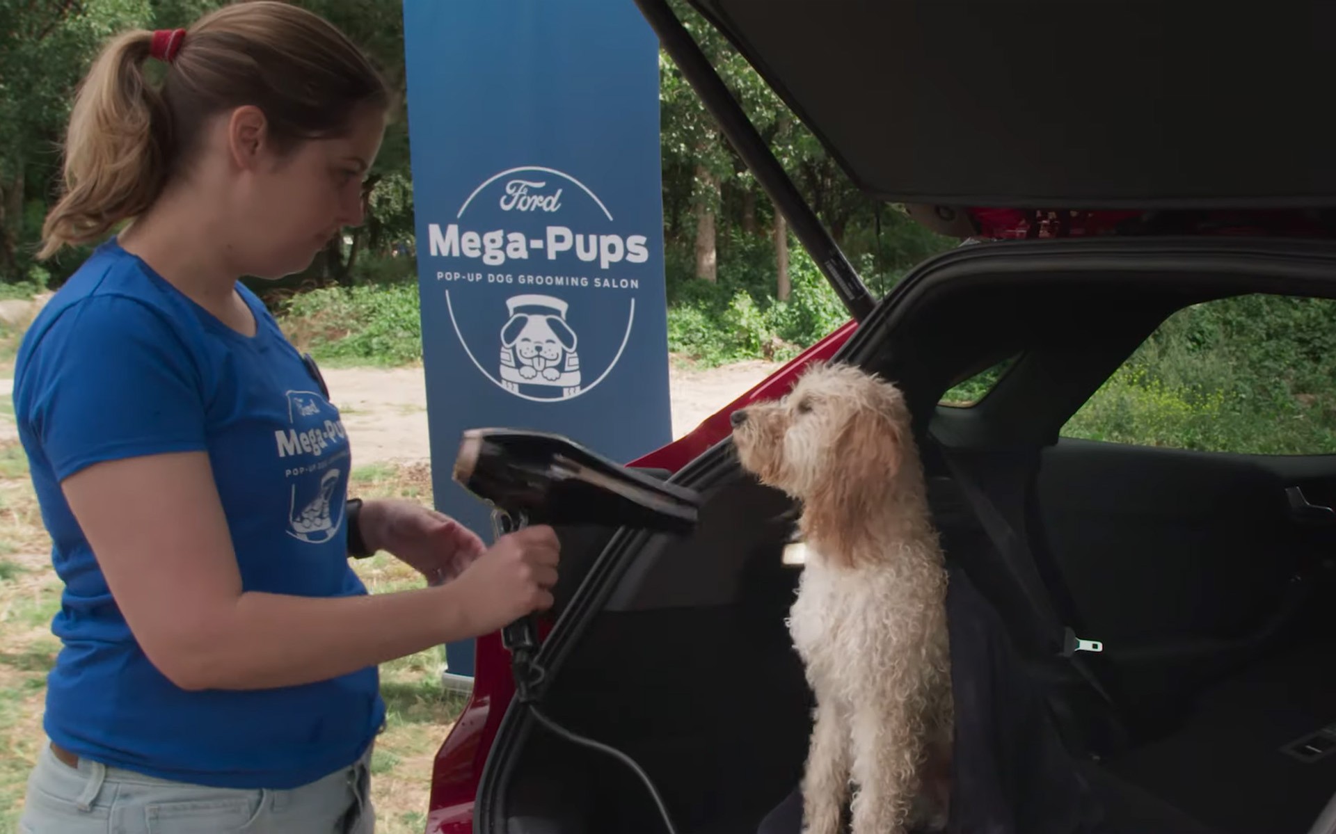 Υπηρεσίες περιποίησης σκύλων μέσα στο Ford Puma! (video)