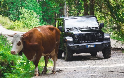 Μέγιστη προστασία για τους κατόχους μοντέλων της Jeep