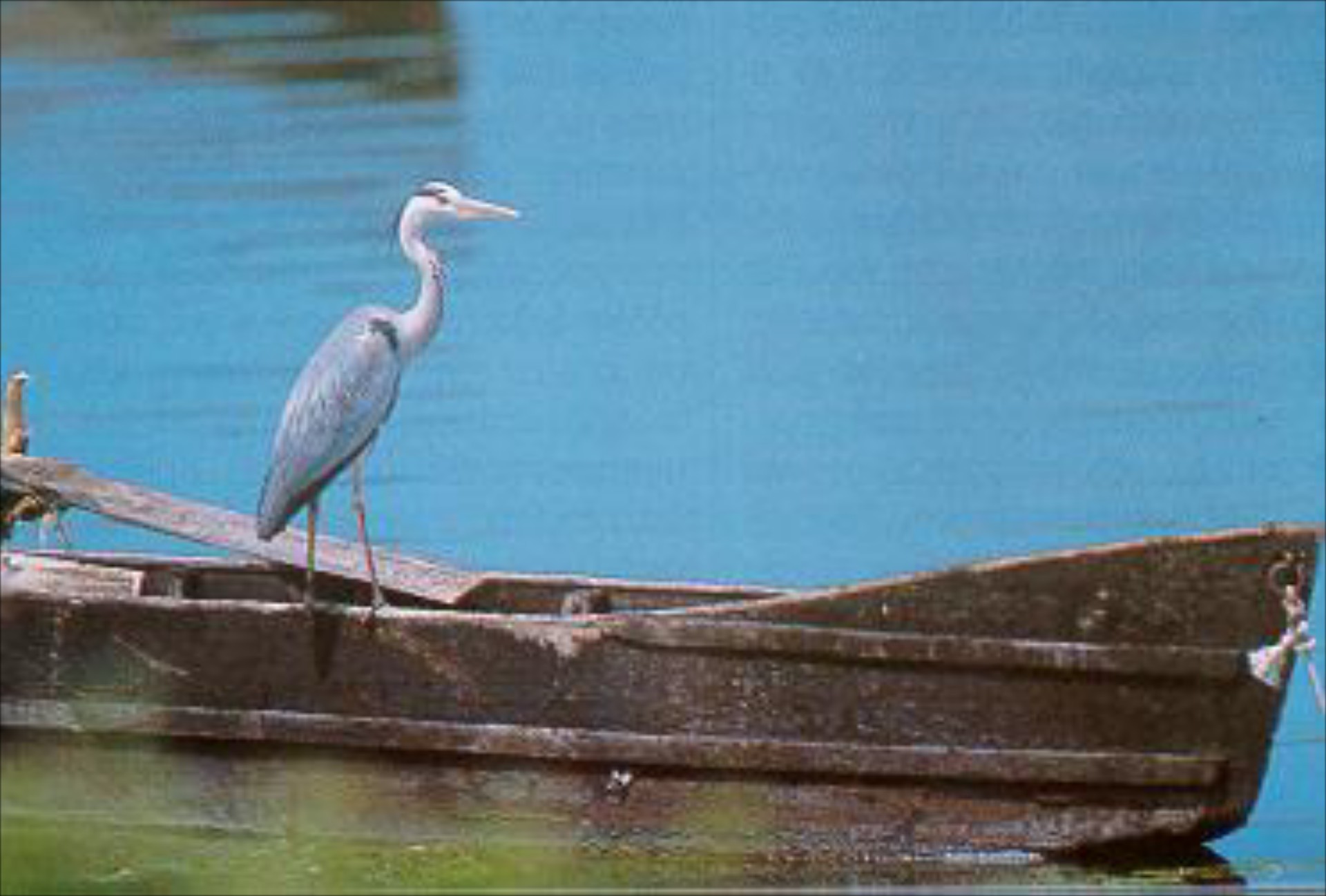 Εθνικά πάρκα Κεντρικής Μακεδονίας