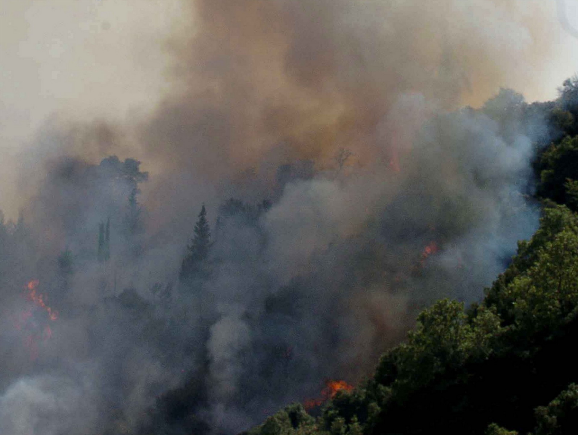 Η ΔΕΗ να καθαρίσει περιμετρικά τους πυλώνες στα δάση