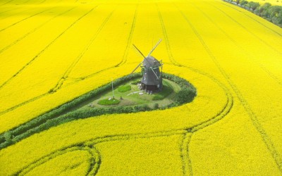 164.000 χιλιολίτρα αυτούσιου βιοντίζελ στην ελληνική αγορά