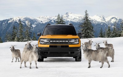 Το Ford Bronco και τα… αγριοκάτσικα (video)