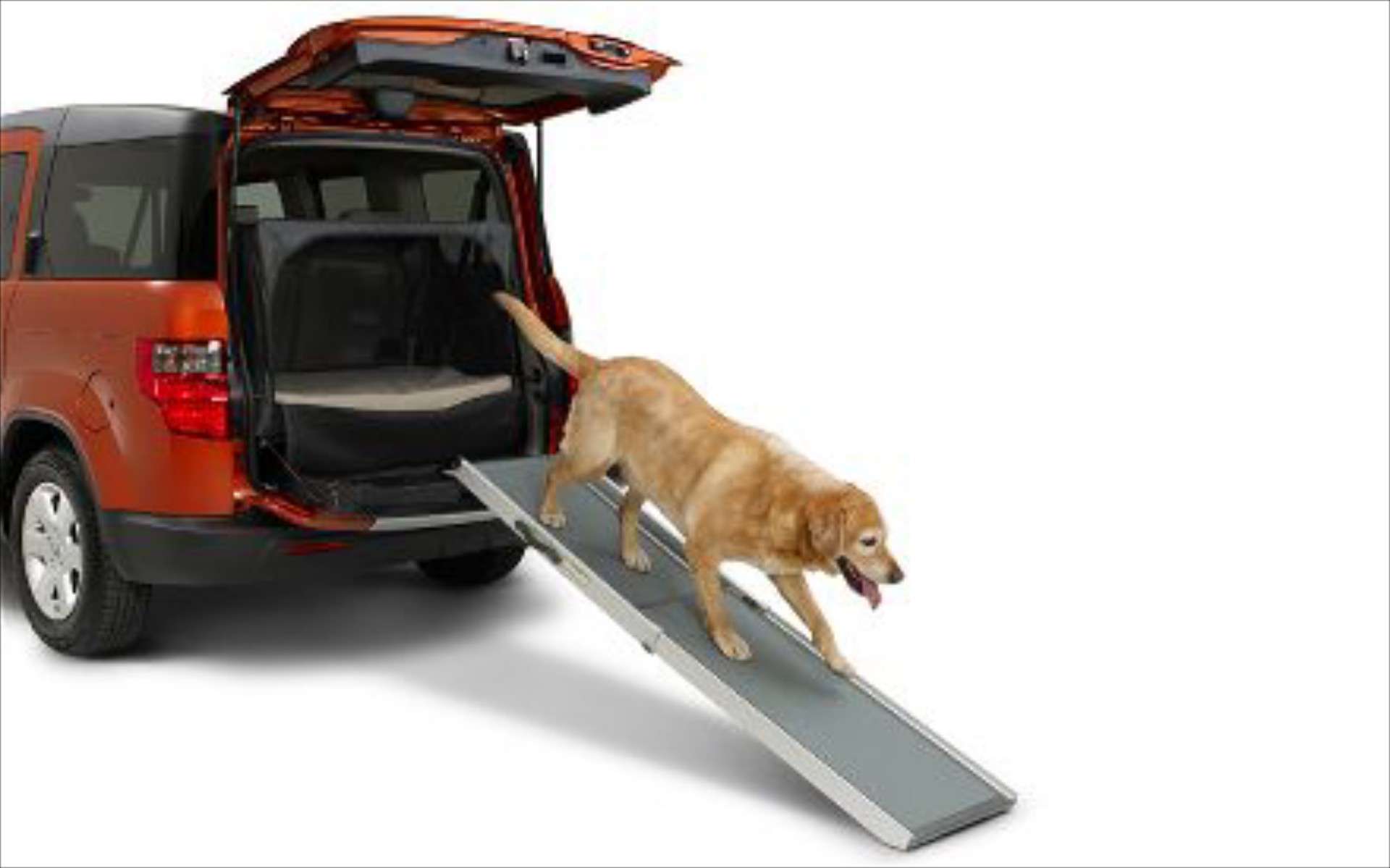 Kia Soul: Tο καλύτερο μοντέλο για ιδιοκτήτες σκύλων

