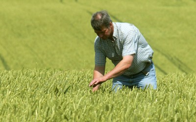 Ξεμένει από πόρους η Γη