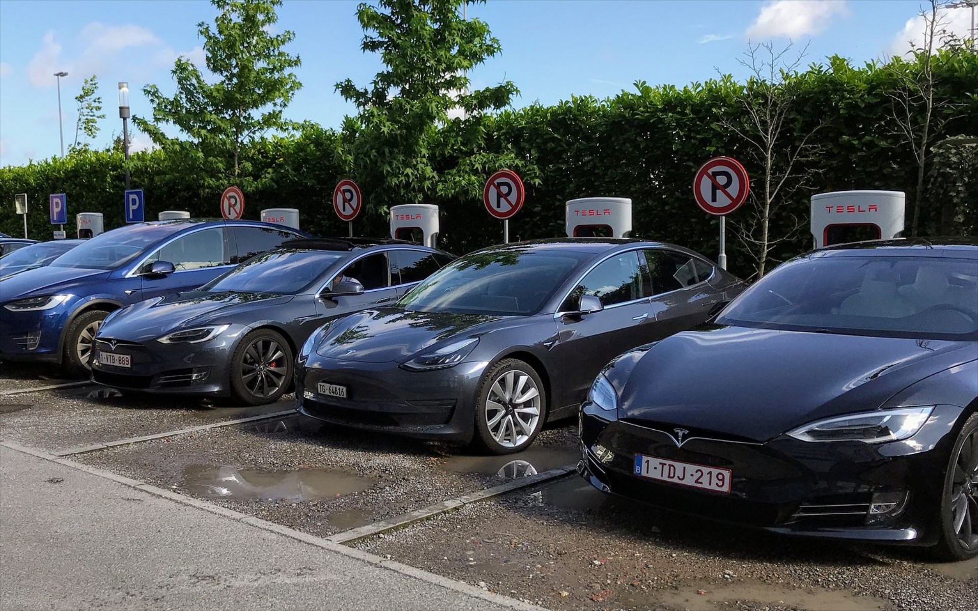 Ρεκόρ Guinness: Αυτή είναι η μεγαλύτερη συγκέντρωση Tesla που έγινε ποτέ