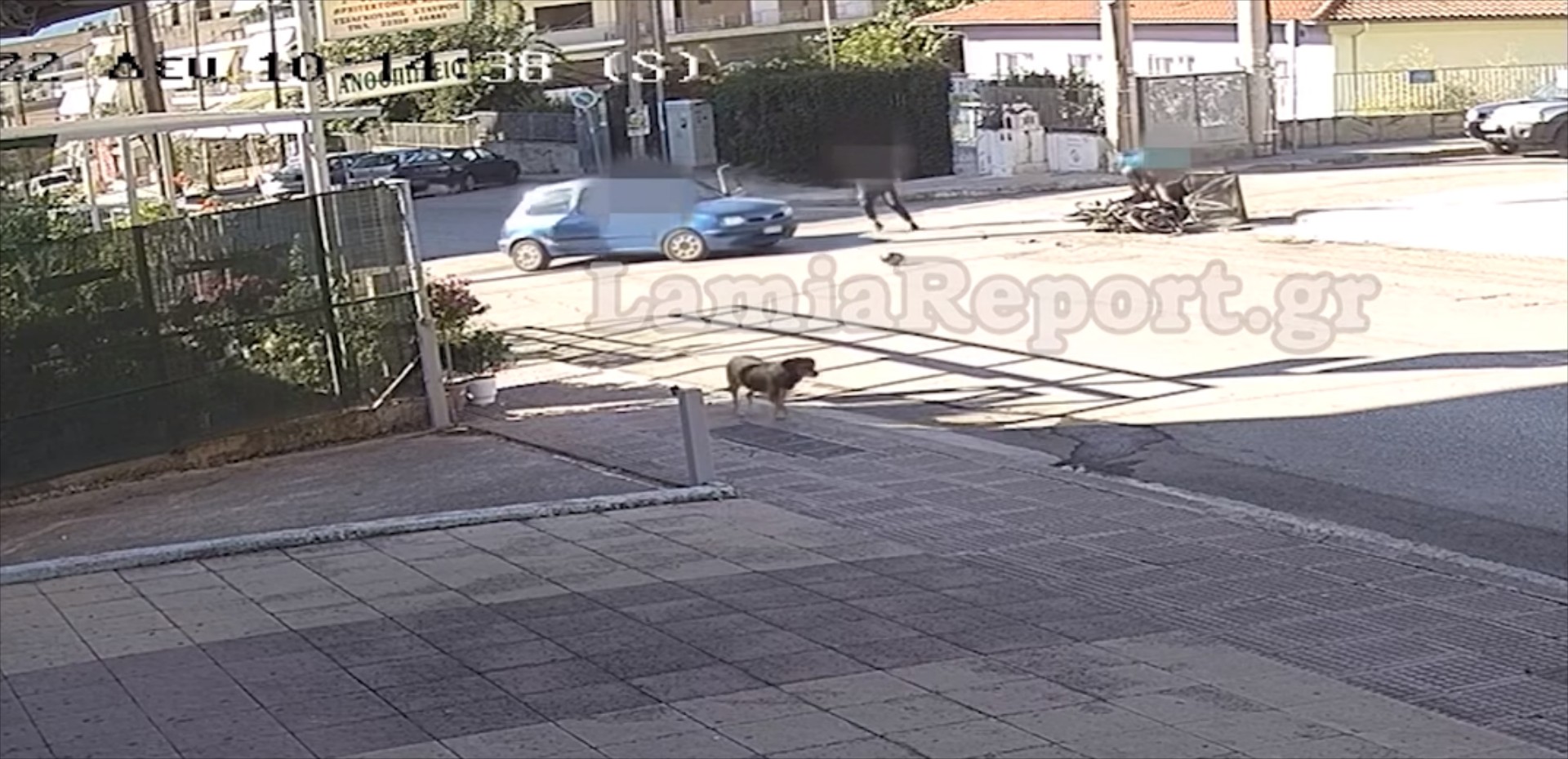 Αδιανόητο τροχαίο στη Λαμία: Χτύπησε τον ντελιβερά και μετά κυνηγούσε το ΙΧ [video]