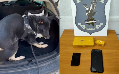 Ναρκωτικά σε παιδικό κάθισμα αυτοκινήτου στην Ελλάδα! [video]