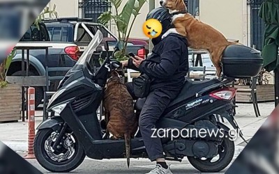 Στην Ελλάδα μπορείς να πας βόλτα τρικάβαλο με τα σκυλιά σου – Δείτε εικόνες