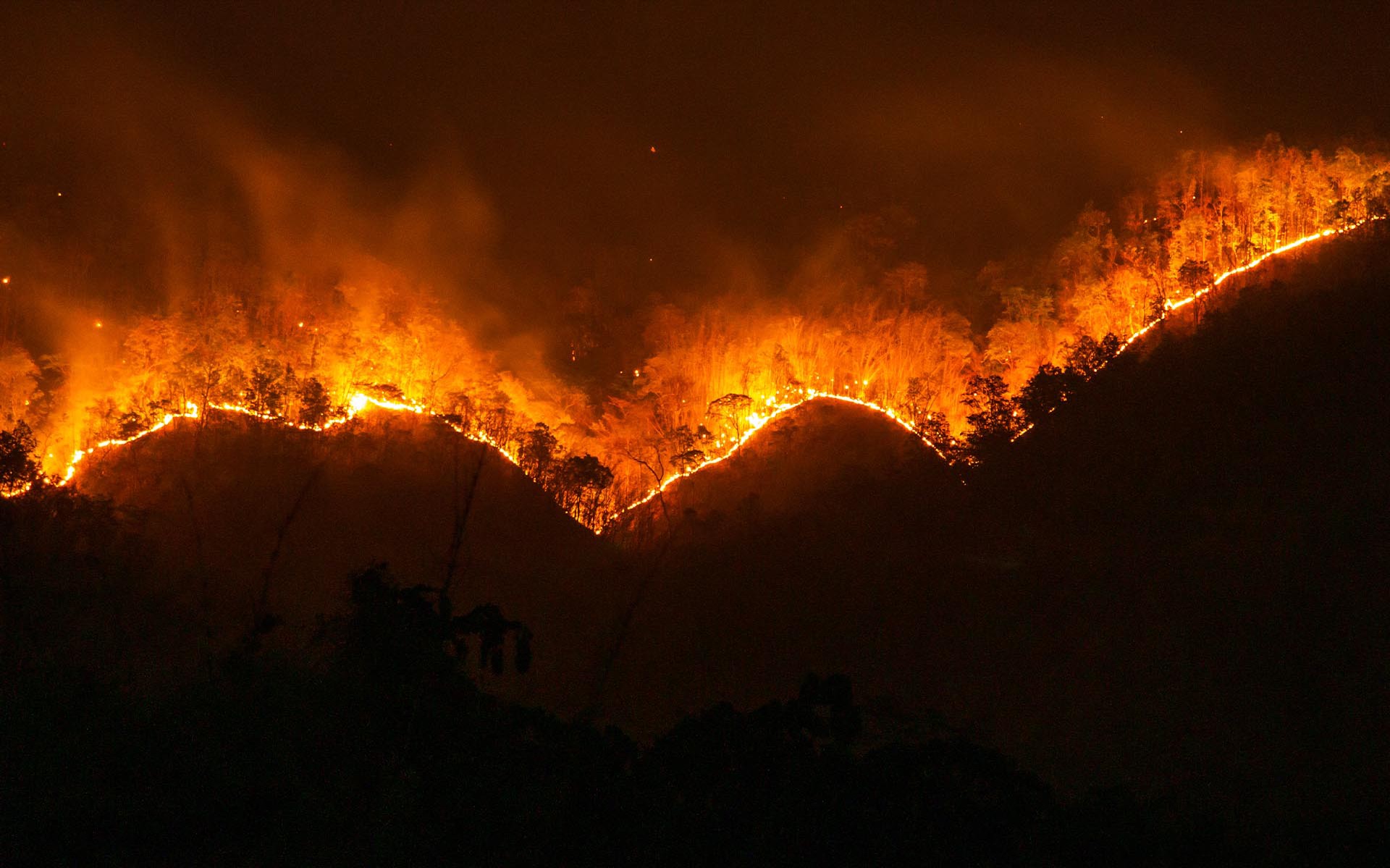 Φωτιά – Όλοι οι κλειστοί δρόμοι σε Αθήνα, Αλεξανδρούπολη. Βοιωτία και Λαμία [Συνεχής ενημέρωση]