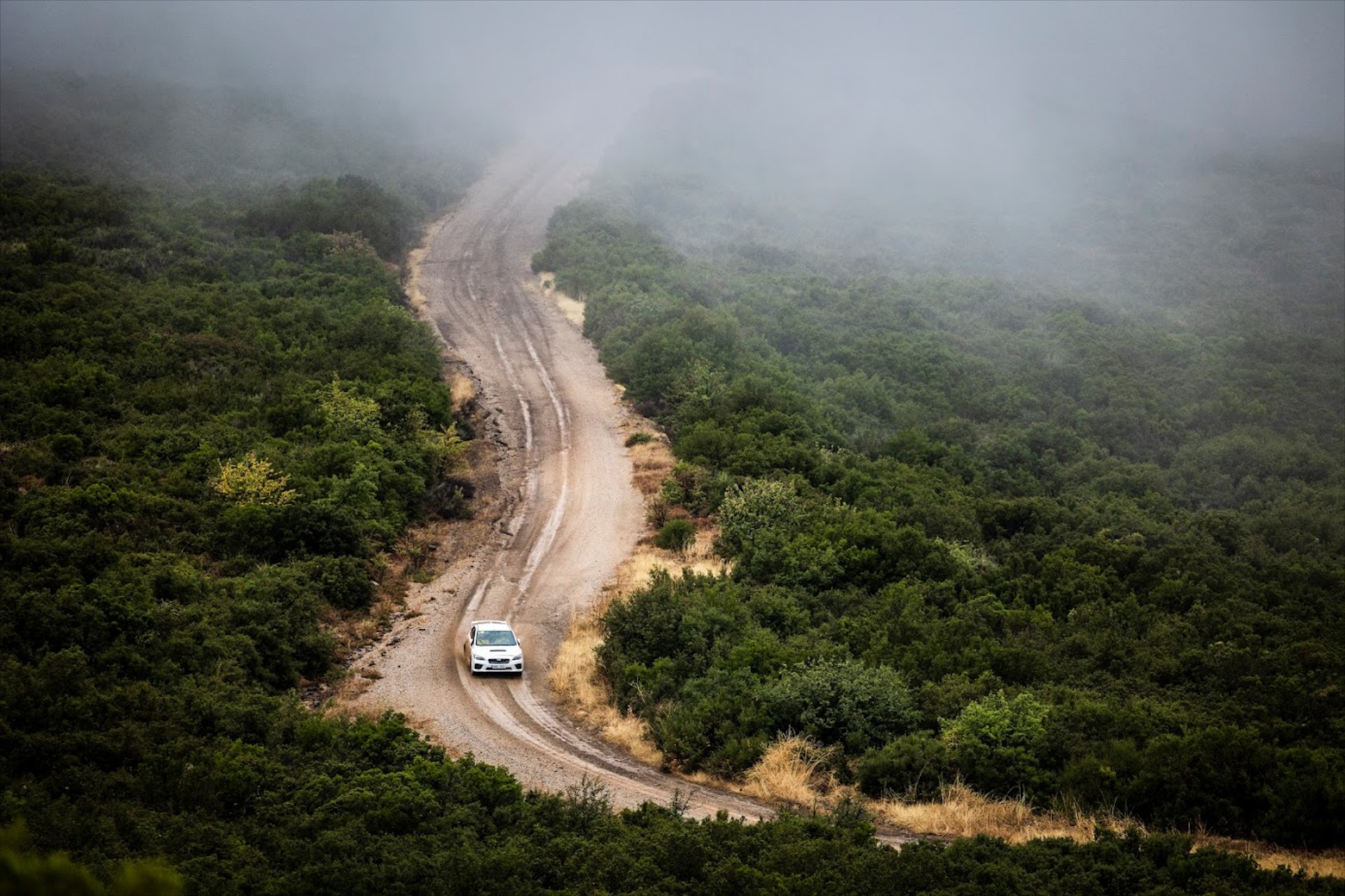 Έκτακτο: Ακυρώνεται το shakedown, κόβεται η Power Stage στο μισό - ΕΚΟ Ράλλυ Ακρόπολις 2023
