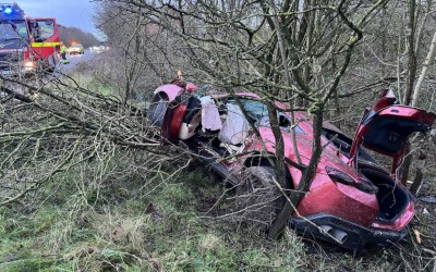 Ferrari έκανε προσπέραση σε αστυνομικό και κατέληξε στα δέντρα [εικόνες] 