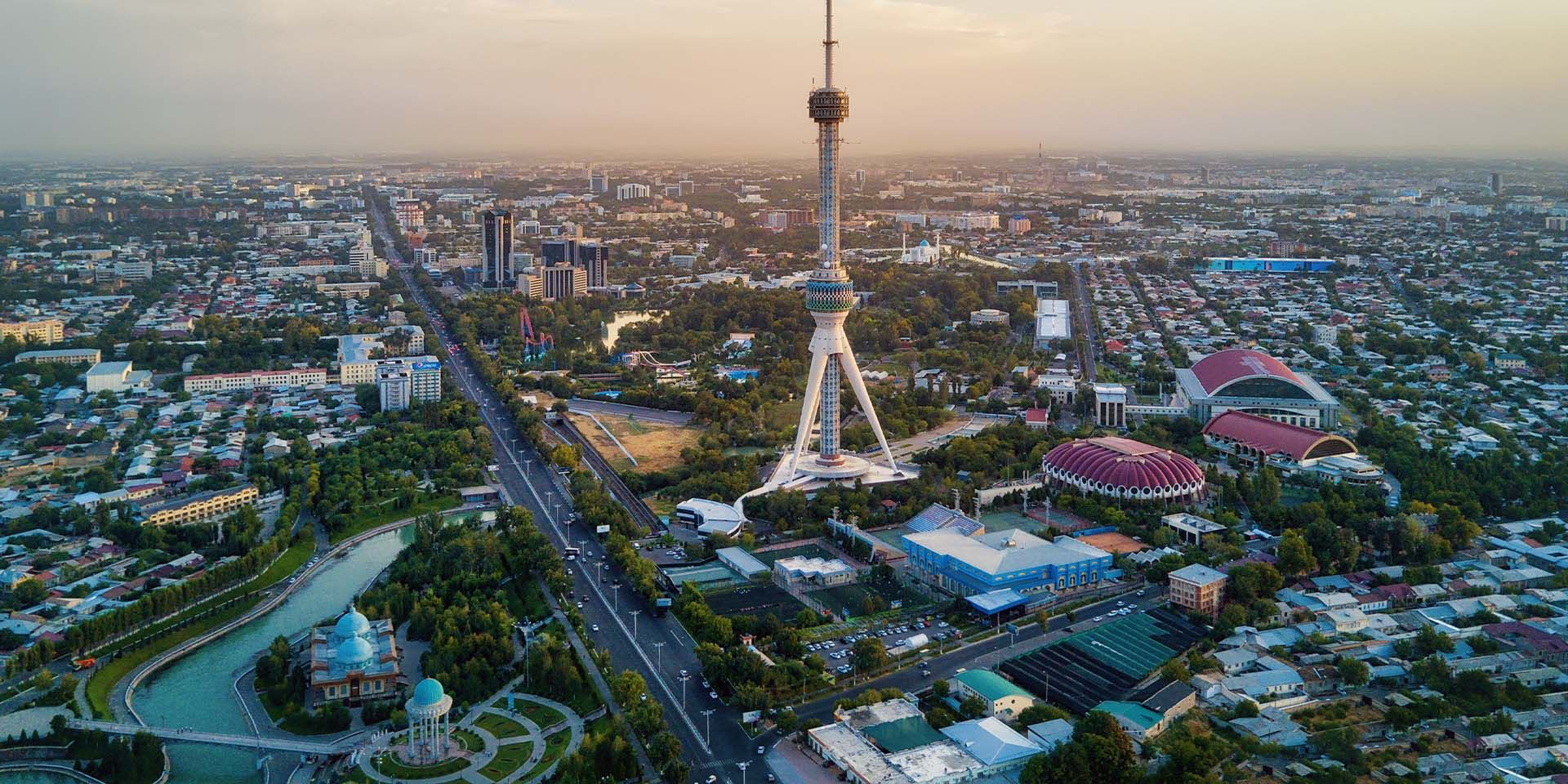 Η χώρα των 37 εκατομμυρίων που αγοράζει μόνο μία μάρκα – Σε ποσοστό 89%