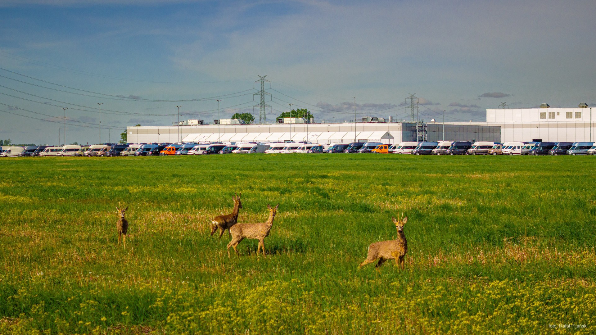 Το πιο ξεχωριστό εργοστάσιο της Volkswagen – Έχει από μελίσσια έως ζαρκάδια! 
