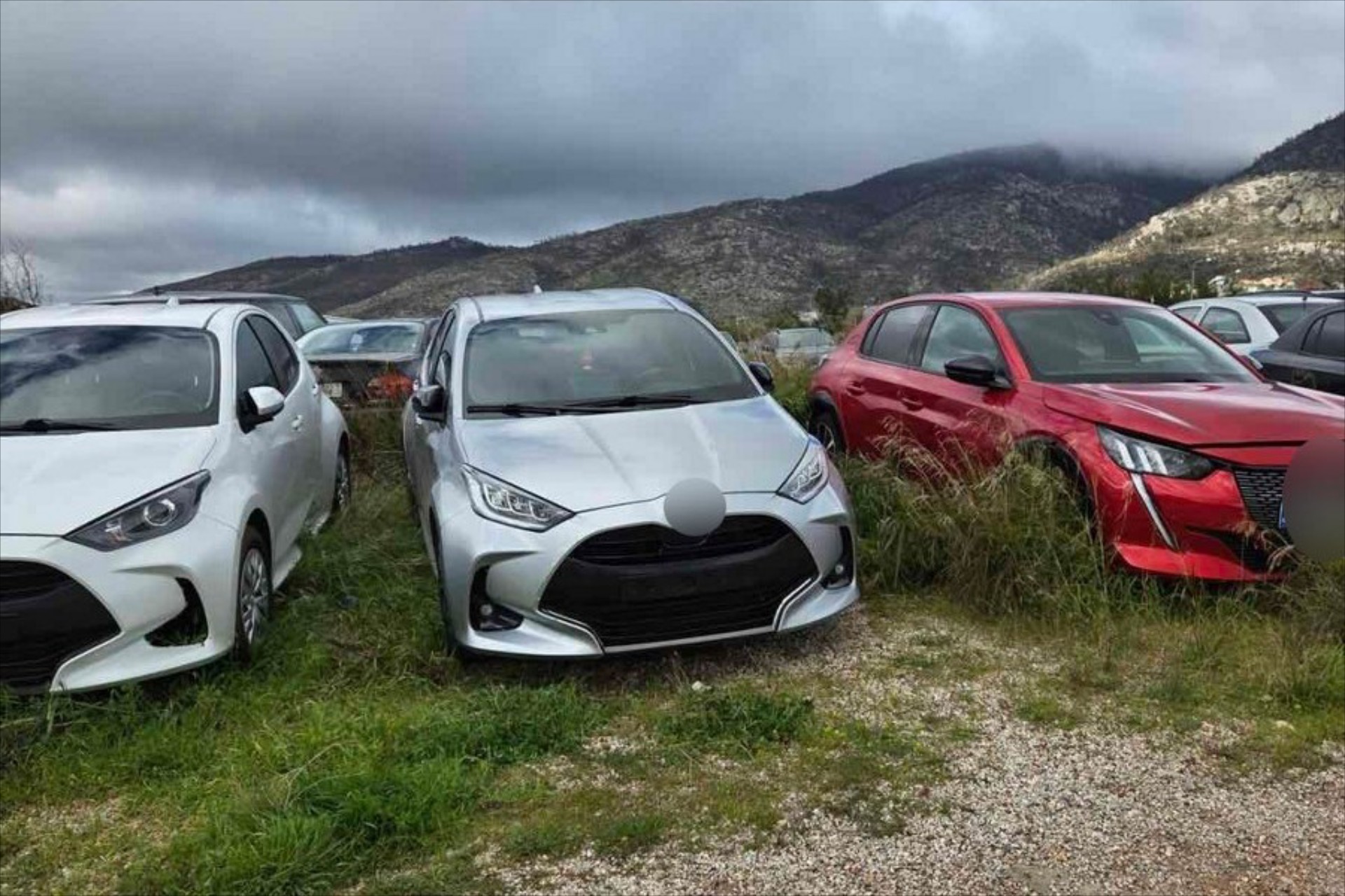 Αστυνομία: Βρήκε 36 κλεμμένα αυτοκίνητα – Δείτε πού [video]