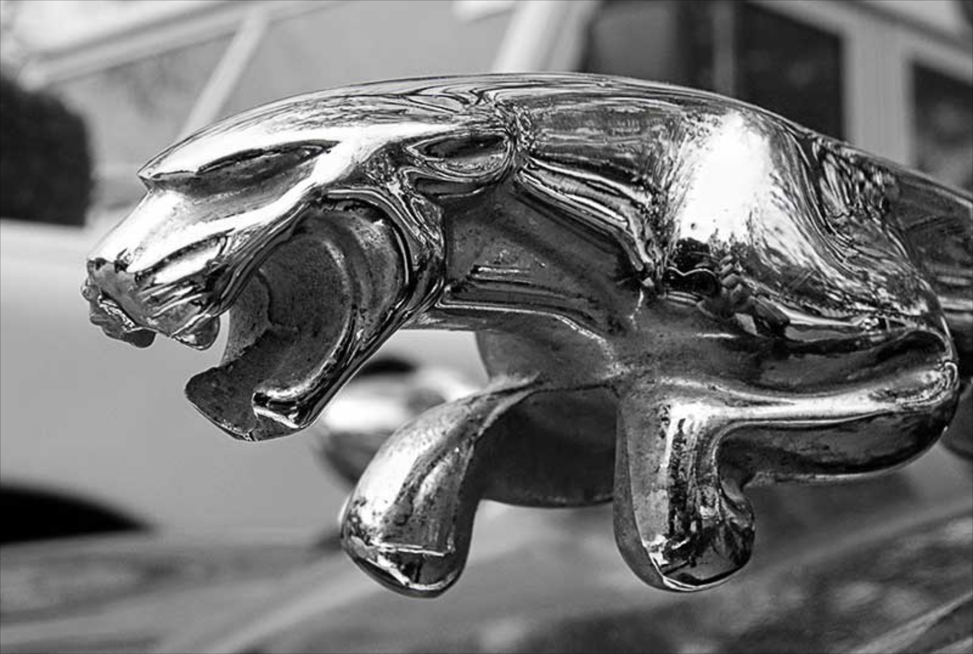 Στην Πέτρος Πετρόπουλος ΑΕΒΕ η Jaguar