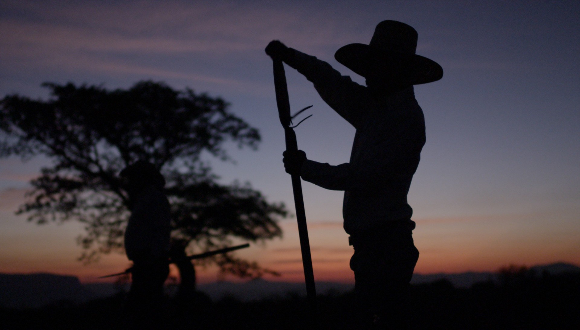 Τι κοινό έχουν τα πλαστικά ενός Ford με την τεκίλα;