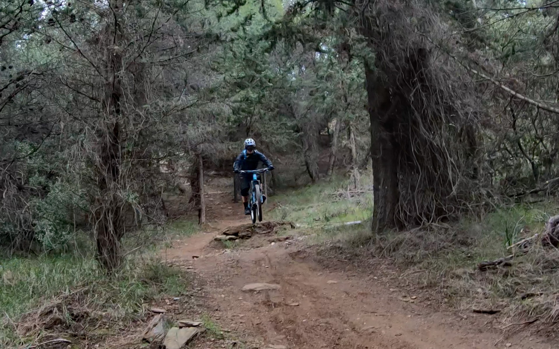 Drive Riden: Ποδηλασία Βουνού