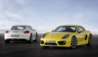 Porsche Cayman & Cayman S 2013