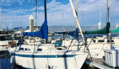 VIDEO: Τρία κινητά… ακίνητα