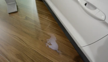 Focus RS, EcoSport & Mustang στην ΑΥΤΟΚΙΝΗΣΗ 2015