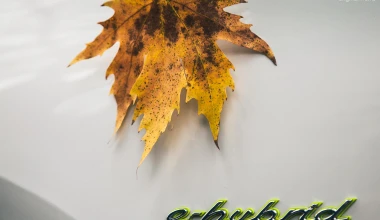 ΔΟΚΙΜΗ: Porsche Cayenne S E-Hybrid 3.0 Tiptronic