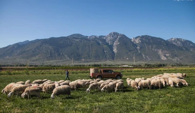 ΔΟΚΙΜΗ: Nissan Navara NP 300 2.3 Double Cab