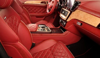 Εσωτερικό από δέρμα… κροκόδειλου