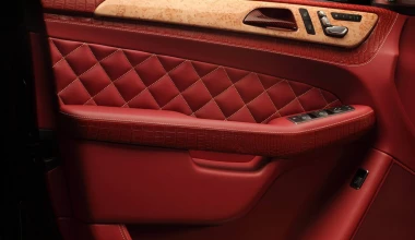 Εσωτερικό από δέρμα… κροκόδειλου