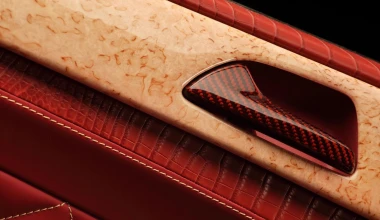 Εσωτερικό από δέρμα… κροκόδειλου