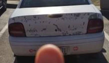 Αυτή είναι η νέα μόδα ανάρτησης αγγελιών αυτοκινήτων;